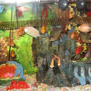 Meet your Posher, Alberto